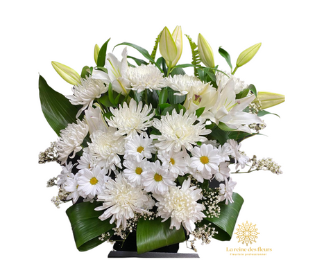 Reine des fleurs 22C16