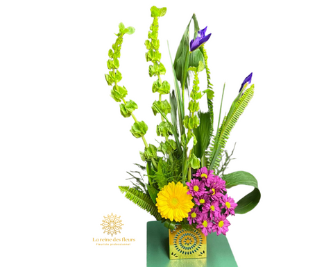 Reine des fleurs 22A11