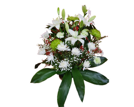 Rene des fleurs 22C12